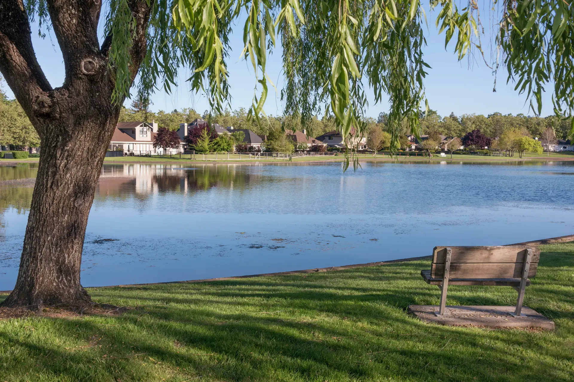 a sitting bench under a willow tree in front of lake